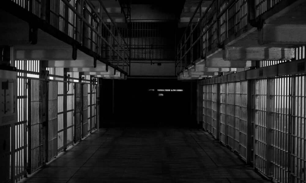 Georgia Blocks State Funds for Inmate Surgeries